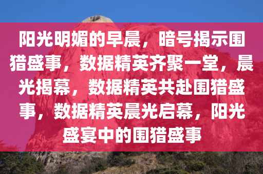 数据精英