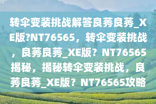 转伞变装挑战解答良莠良莠_XE版?NT76565，转伞变装挑战，良莠良莠_XE版？NT76565揭秘，揭秘转伞变装挑战，良莠良莠_XE版？NT76565攻略今晚必出三肖2025_2025新澳门精准免费提供·精确判断