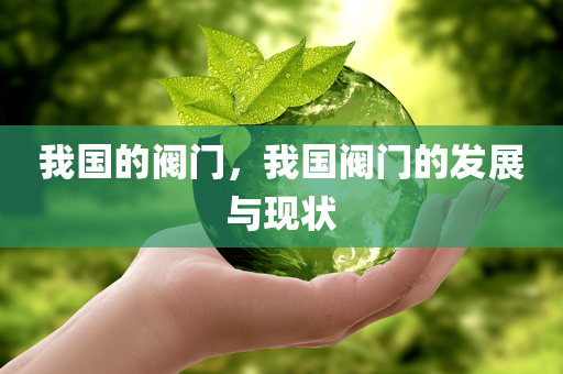 我国的阀门，我国阀门的发展与现状今晚必出三肖2025_2025新澳门精准免费提供·精确判断
