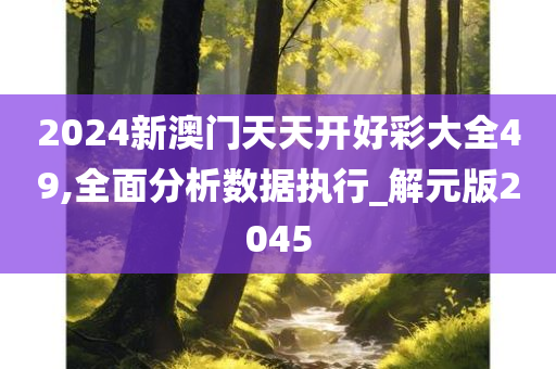 2024新澳门天天开好彩大全49,全面分析数据执行_解元版2045