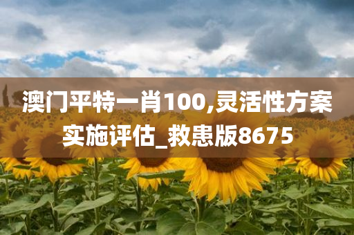 澳门平特一肖100,灵活性方案实施评估_救患版8675