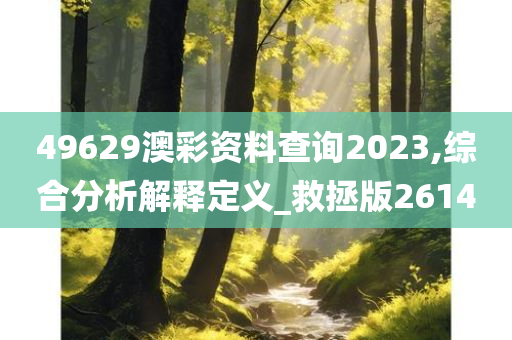 49629澳彩资料查询2023,综合分析解释定义_救拯版2614