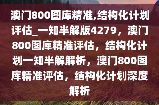 澳门800图库精准,结构化计划评估_一知半解版4279，澳门800图库精准评估，结构化计划一知半解解析，澳门800图库精准评估，结构化计划深度解析