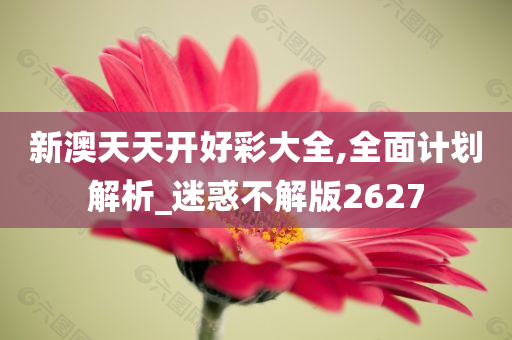 新澳天天开好彩大全,全面计划解析_迷惑不解版2627