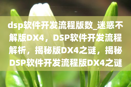 版DX4