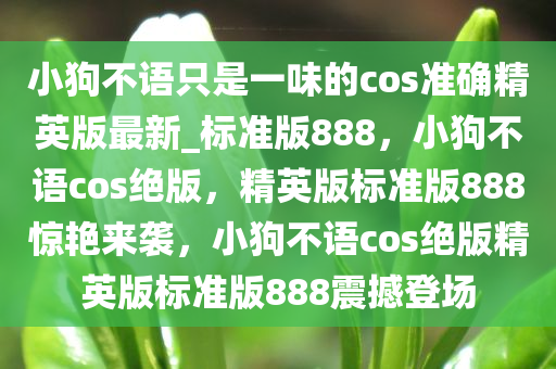 小狗不语只是一味的cos准确精英版最新_标准版888，小狗不语cos绝版，精英版标准版888惊艳来袭，小狗不语cos绝版精英版标准版888震撼登场