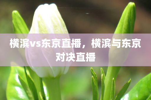 今晚必出三肖2025_2025新澳门精准免费提供·精确判断横滨vs东京直播，横滨与东京对决直播