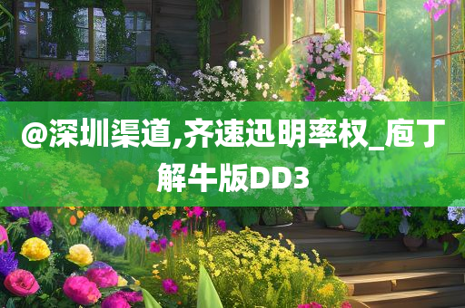 @深圳渠道,齐速迅明率权_庖丁解牛版DD3