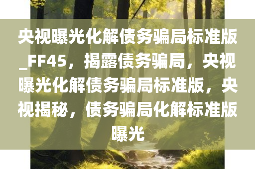 央视曝光化解债务骗局标准版_FF45，揭露债务骗局，央视曝光化解债务骗局标准版，央视揭秘，债务骗局化解标准版曝光