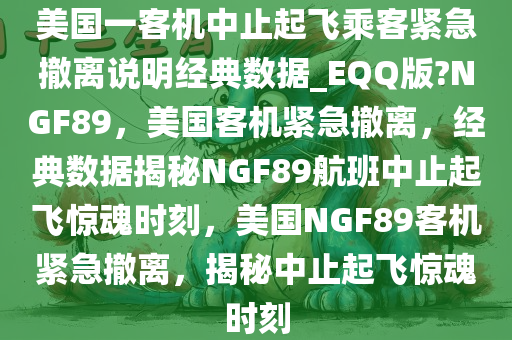 美国一客机中止起飞乘客紧急撤离说明经典数据_EQQ版?NGF89，美国客机紧急撤离，经典数据揭秘NGF89航班中止起飞惊魂时刻，美国NGF89客机紧急撤离，揭秘中止起飞惊魂时刻