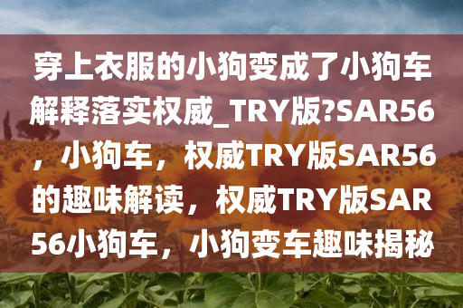 穿上衣服的小狗变成了小狗车解释落实权威_TRY版?SAR56，小狗车，权威TRY版SAR56的趣味解读，权威TRY版SAR56小狗车，小狗变车趣味揭秘今晚必出三肖2025_2025新澳门精准免费提供·精确判断