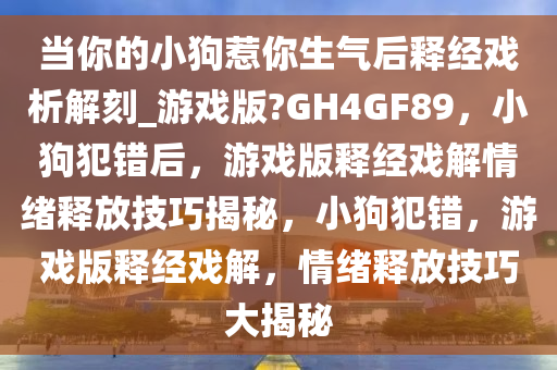 当你的小狗惹你生气后释经戏析解刻_游戏版?GH4GF89，小狗犯错后，游戏版释经戏解情绪释放技巧揭秘，小狗犯错，游戏版释经戏解，情绪释放技巧大揭秘