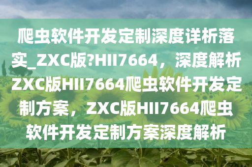 爬虫软件开发定制深度详析落实_ZXC版?HII7664，深度解析ZXC版HII7664爬虫软件开发定制方案，ZXC版HII7664爬虫软件开发定制方案深度解析