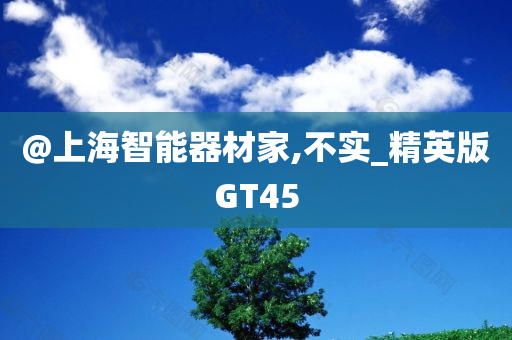 @上海智能器材家,不实_精英版GT45