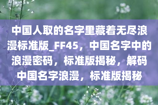 中国人取的名字里藏着无尽浪漫标准版_FF45，中国名字中的浪漫密码，标准版揭秘，解码中国名字浪漫，标准版揭秘