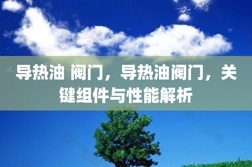 导热油 阀门，导热油阀门，关键组件与性能解析