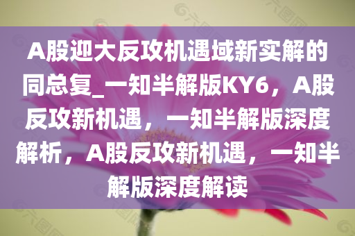 liyalv 第21页