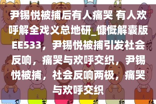 尹锡悦被捕后有人痛哭 有人欢呼解全戏义总地研_慷慨解囊版EE533，尹锡悦被捕引发社会反响，痛哭与欢呼交织，尹锡悦被捕，社会反响两极，痛哭与欢呼交织