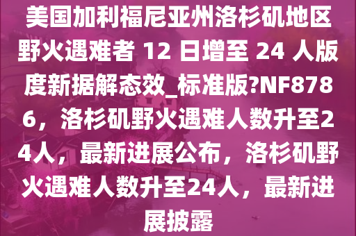 美国加利福尼亚州洛杉矶地区野火遇难者 12 日增至 24 人版度新据解态效_标准版?NF8786，洛杉矶野火遇难人数升至24人，最新进展公布，洛杉矶野火遇难人数升至24人，最新进展披露