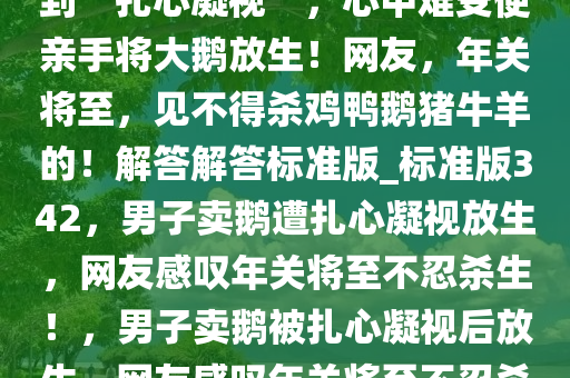 近日，一男子卖自家大鹅时遭到“扎心凝视”，心中难受便亲手将大鹅放生！网友，年关将至，见不得杀鸡鸭鹅猪牛羊的！解答解答标准版_标准版342，男子卖鹅遭扎心凝视放生，网友感叹年关将至不忍杀生！，男子卖鹅被扎心凝视后放生，网友感叹年关将至不忍杀生
