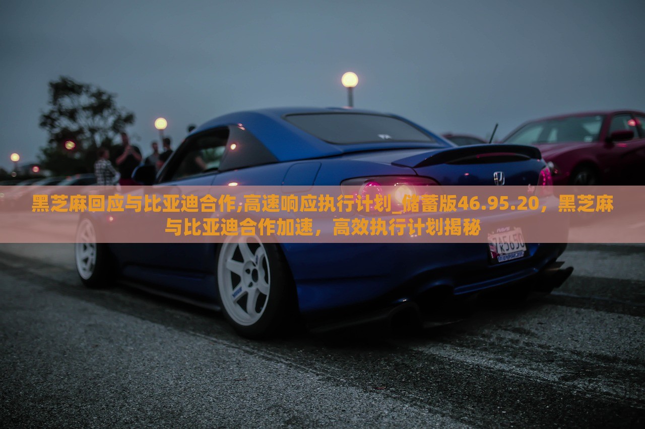 黑芝麻回应与比亚迪合作,高速响应执行计划_储蓄版46.95.20，黑芝麻与比亚迪合作加速，高效执行计划揭秘，黑芝麻与比亚迪合作揭秘，高效执行计划推动合作加速，储蓄版计划亮相